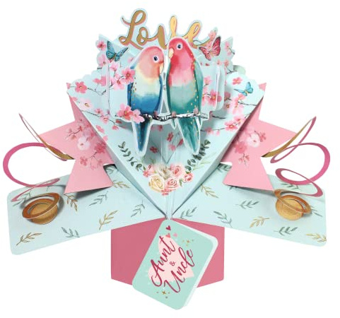 Love Birds Aunt & Uncle Pop Up Anniversary Card Suit Any Romantic Occasion POP199C21