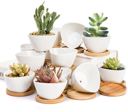 Foraineam Lot de 12 mini pots de fleurs en céramique pour plantes grasses, cactus blancs avec plateau en bambou pour herbes, graines, haricots, cactus, plantes grasses