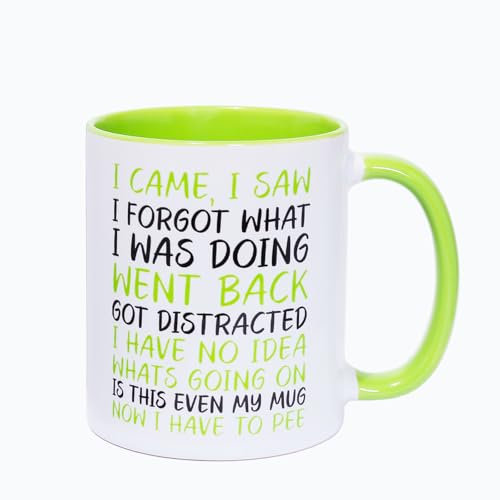 I Came I Saw I Forgot Coffee Mug,Funny Birthday Christmas Gifts,Mugs for Mum and Dad, Anniversary Couple Gift,Funny Quotes (Green)
