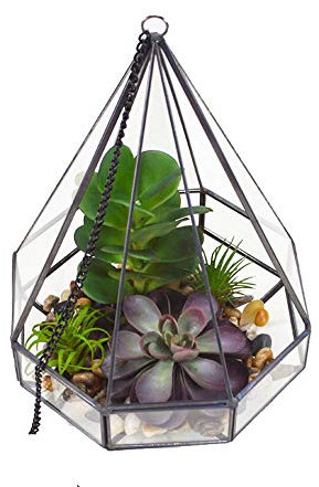 ChengBeautiful Terrarium Moderne Wandkunst Kristallkugel Diamant Geometrische Formen Geeignet for Tränen Saftig Farne (Color : Black, Size : 17x16x22cm)