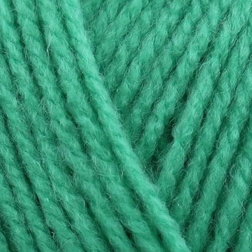 Stylecraft Special DK 100g (Jade 2177)