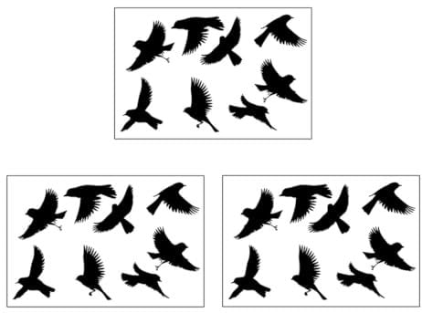 27 Pezzi Adesivi per Finestre Uccelli Anticollisione, Adesivi Anti Collisione per Finestra, Protezione per Porte in Vetro, Vetrofanie per Finestre Vetro Porte, Per Finestre, Camera Bambini, Soggiorno