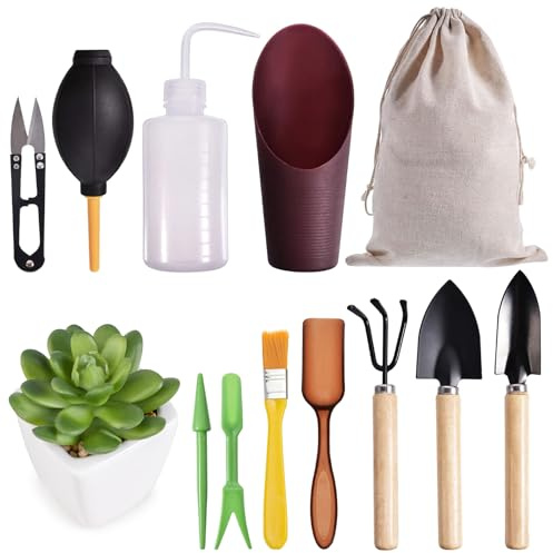 Succulent Plant Tool Kit with Organizer Bag, Pack of 12 Mini Succulent Garden Tools Kit Succulent Bonsai Planter Set Indoor Gardening for Succulent Plants and House Plants (Micro Landscape Gardening