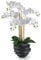 PASCH® XXL Kunstblume Orchidee groß (70cm)