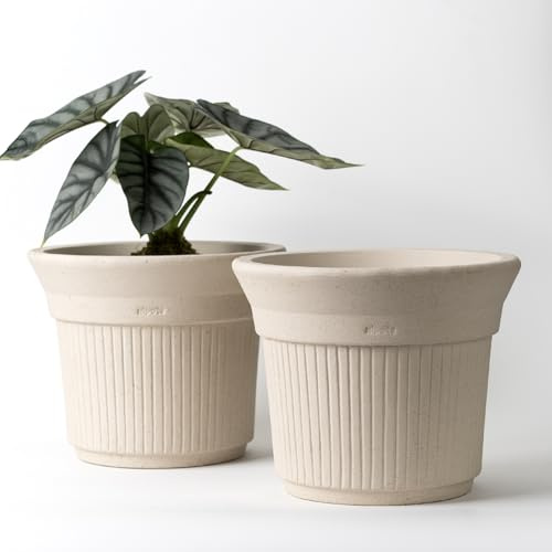 Nipots 2 Pack Terracotta Clay Plant Pots with Drainage, Breathable Water-Absorbing Planters for Healthy Roots, 8 InchDeep Flower Pots for Indoor, Outdoor, Gardening, Beige