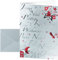 SIGEL DS362 Weihnachtskarten Silver Star Set mit Silber-Umschlägen, DIN A6, 10 Stück, mit Prägung + Einlageblatt