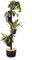 CitySens - Macetero Vertical con Autorriego, Negro, 4 Macetas