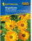Ringelblumen Heilkraut Calendula officinalis für Tee- und Salbenzubereitung