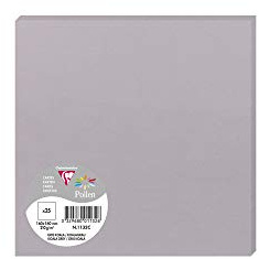 Clairefontaine 1132C Packung (mit 25 Karten Pollen 160 x 160mm) 210g, koalagrau
