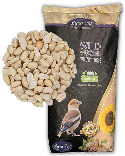 Lyra Pet® 25 kg Erdnusskerne ganze und halbe blanchiert Wildvögel HK Asien