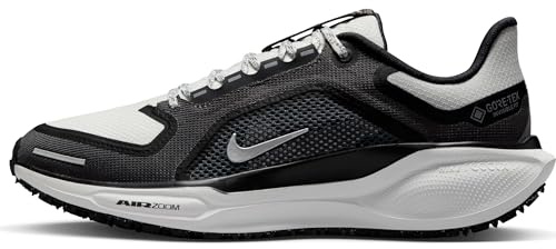 Nike Pegasus 41 Gore-TEX Wasserdichter Straßenlaufschuh für Herren, FQ1356