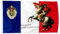 Tapisserie drapeau Napoléon de France - 9,1 x 1,5 m - Couleurs vives - Double couture - En polyester (III, imprimé double face)