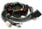 Lichtmaschine Anker Strator kompatibel mit TPH NRG Zip Sfera Quartz Free, Runner Stalker