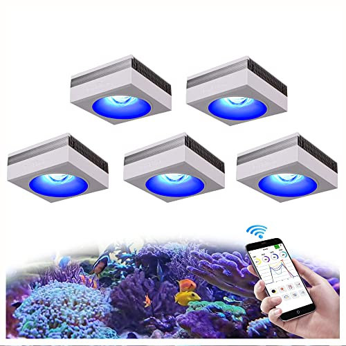 PopBloom RL90 WiFi Reef Lampen 500Watts Meerwasser Led Aquarium Beleuchtung, App Kontrolle IOS Android Programm Salzwasser Riff Aquarium Beleuchtung für Korallenriff SPS/LPS Marine Fisch Tank