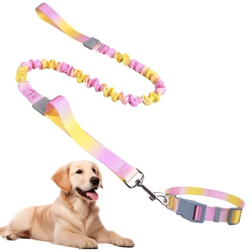 Laisse pour Chien,Ensemble Collier Et Laisses pour Chiens,Laisses Élastique,Laisse Corde Absorption des Chocs, Collier pour Chien Reglable,Réglable en Nylon pour Marche Entraînement