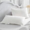 Homyrium Daunenkissen 50x75 2er Set Kopfkissen 50x75 Daunen Federkissen 3 Kammer Kissen mit 100% Daunen & Federn, Hotelqualität Schlafkissen 100% Baumwollbezug, Ökotex-Zertifiziert (940g, 2er Pack)