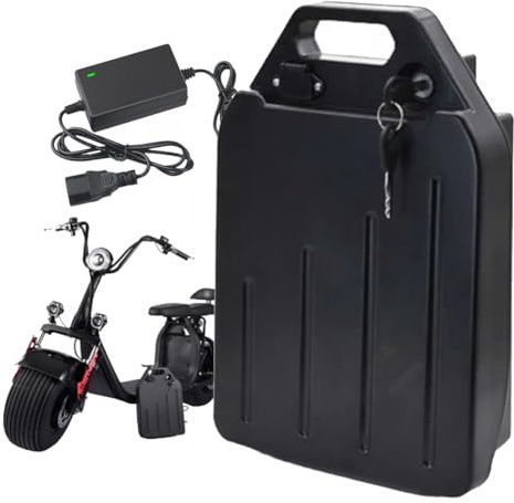 WSDAV Motorradbatterie 48V 15Ah 20Ah 25Ah Lithium-Ionen-Akku 60V 12Ah 20Ah 25Ah Batterien für Motoren von 0-1500W mit Ladegerät,48v15ah