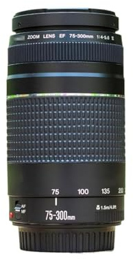 Camera Parts, Téléobjectif EF 75-300 mm F/4-5.6 III, Compatible avec Canon EOS 1300D 650D 700D 60D 70D 80D 6D 7D 5D2 5D3 T3i T5i T6,Renewal Accessories