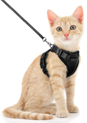 Voarge Harnais pour Chat Réglable avec Laisse de 150 cm - Sécurité pour Chats Adultes, Petits, Moyens et Grands, Chiots - Idéal pour la Marche et les V