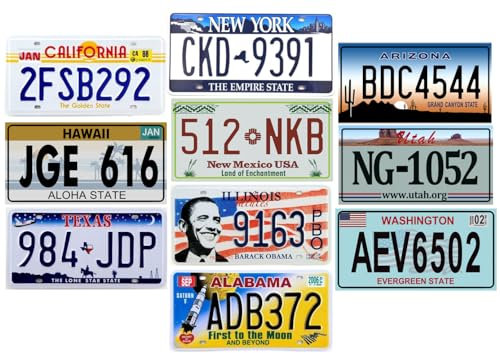 - Lot von 10 US-Autokennzeichen aus Metall – Nachbildungen echter amerikanischer Kennzeichen V1BIS