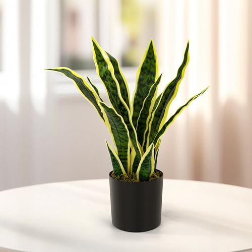 Sansevieria Trifasciata Bogenhanf Sukkulenten Pflegeleichte Zimmerpflanze Gesamthöhe 40cm hoch für Wohnzimmer Büro & Schlafzimmer