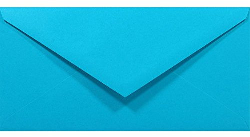 Netuno 100 Briefumschläge Blau DIN lang 110x220 mm 80g Rainbow bunte Umschläge lang ohne Fenster für Hochzeit Geburtstag Taufe Weihnachten Einladungskarten Einladungsumschläge Blau Briefhüllen Papier