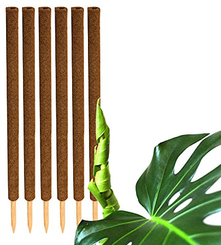 BigDean 6er Set Pflanzstäbe Kokos 110 cm - Monstera Rankhilfe Rankstäbe Stab Moosstäbe Pflanzenstäbe Kokosstäbe für Pflanzen - aus natürlicher Kokosfaser - verlängerbar