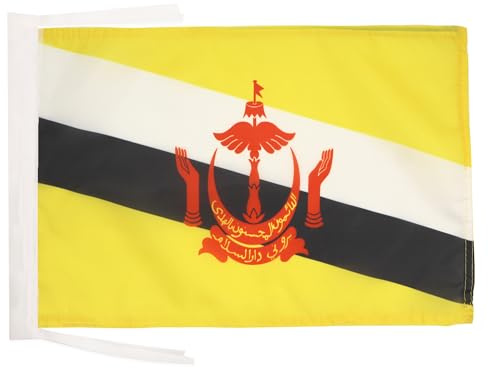 AZ FLAG Brunei Flag 45x30 cm Bruneian Banner 100D Polyester Cords | Indoor and outdoor use 12x18 in decorative flag double stitched seams and reinforced edges with ties