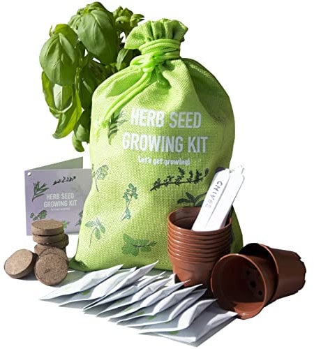 Scott&Co. Herbs Seed Kit, 10 Different Herb Seed Varieties to Grow Your Own, Basil, Coriander, Chives and More. Seeds, Pots, Plant Labels and Compost, Gardening Gifts for Women and Men.