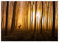 Displate - Poster aus Metall - Magnet-Montage - World Class Photos - Landscapes - Once Upon a Time 67.5 cm x 48 cm
