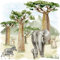 Serviette Baobab Scenery - Elefanten Zebra Urwald - Lunch 33x33cm 20 Stück