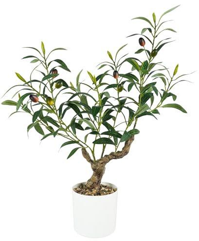 Caxchiling Ulivo artificiale 60 cm, albero di ulivo da interno con fioriera bianca, piante in seta sintetica in vaso, decorazione per casa e ufficio, piante da tavolo, piccolo ulivo con tronco in
