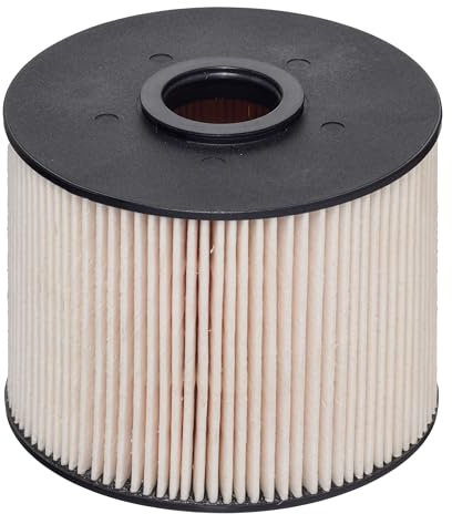 Hengst Filter E425KP D219 - Kraftstofffilter | E425KP D219 passend für C4 C5 C8 DS4