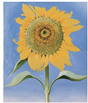 (11 x 14) Georgien O'Keeffe Sunflower Kunstdruck Poster 1935 New Mexico