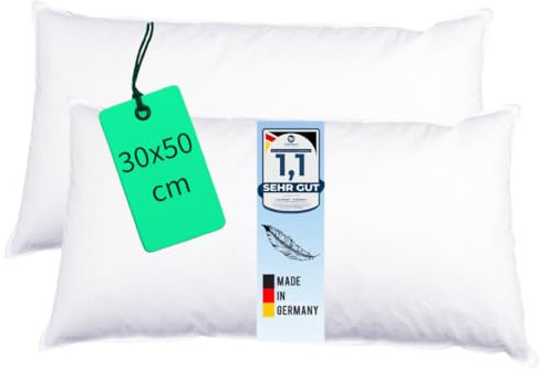 Luxusfeder 2er Sofakissen 30x50 cm Daunen Füllung 300g - Bezug 100% Baumwolle - Daunenkissen - Kissenfüllung - Kisseninlett - Innenkissen - Öko-Tex