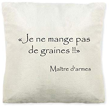 Mygoodprice Kaamelott Kissen, weich, Bedruckt, Meister von Waffen, Samen