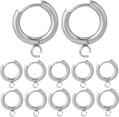 SUNNYCLUE 1 Box 12Pcs Leverback Earring Hooks Bulk Silver French Earring Hooks Earwires Huggie Hoops Stainless Steel Round Lever Backs Ear Wire Earrings Findings with Loops for jewellery Making Women