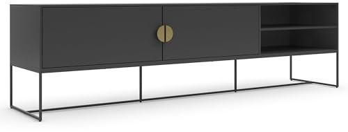 Dorel Home Asia Cabinet Lowboard in Anthracite, 40x180x50cm (DxWxH)