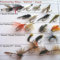 Angeln Fliegen Keith Favourite Pack 20 Forellen Fliegen UK dries-wets-nymphs PK # 16