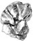 Silver Pewter Labrador Retriever Hund Anstecker Brosche Englische Geschenk Tasche