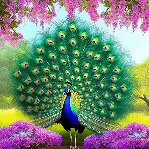 Bimkole DIY 5D Diamond Painting Zubehör Pfau, Pfau Feder Tier Blume Diamant Malerei Kit Voll Runde Bohrer Malen nach Zahlen Malerei Stickerei Kreuzstich Diamond Dekoration, (40x40 cm)