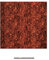 Pickguard Rohmaterial 30 x 29 cm, 4-lagig / 4-ply Tortoise