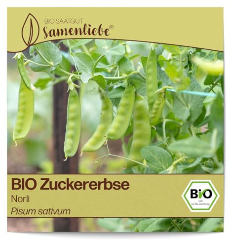 Samenliebe BIO Zuckererbsen Samen alte Sorte Norli sehr süße Topf-Zuckerschote frühe Erbse grün 20 Samen samenfestes Gemüse Saatgut für Gewächshaus Freiland und Balkon BIO Gemüsesamen