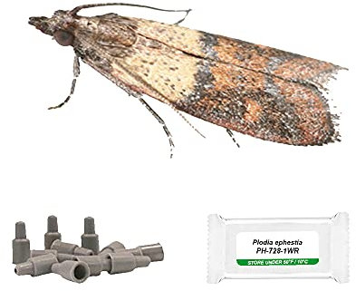 IPM Direct Pack of 3 Moth Trap Attractant Pheromones (Indian Meal/Tabacco Moth)