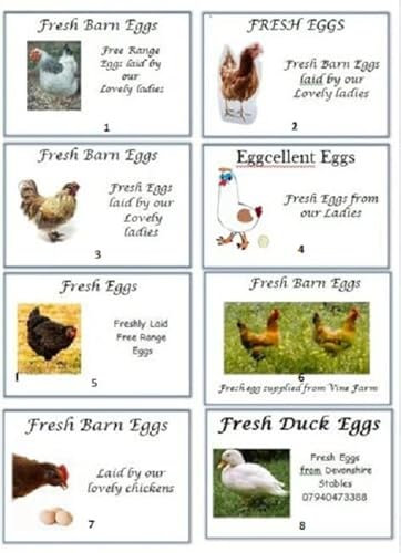 Anglia Farm Supplies Sheet of 8 x Egg Box labels Personalised Chicken Duck Hen Fresh Barn Boxes (50 sheets)