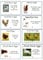 Anglia Farm Supplies Sheet of 8 x Egg Box labels Personalised Chicken Duck Hen Fresh Barn Boxes (50 sheets)