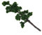 Leisurealeaneag 12 cm Landschaft Modell Baum Berg Kiefer Bäume