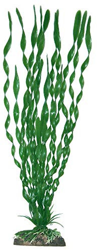 Amtra Wave Plant Classic Valisneria Major MD