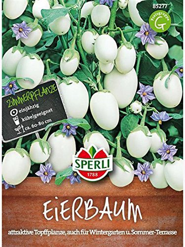 Sperli Gemüsesamen Eierbaum, grün