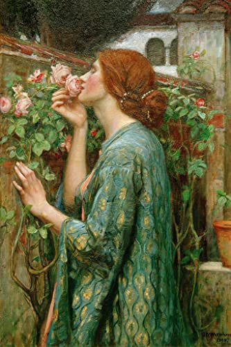 Kunstdruck/Poster: John William Waterhouse Die Seele der Rose - hochwertiger Druck, Bild, Kunstposter, 40x60 cm